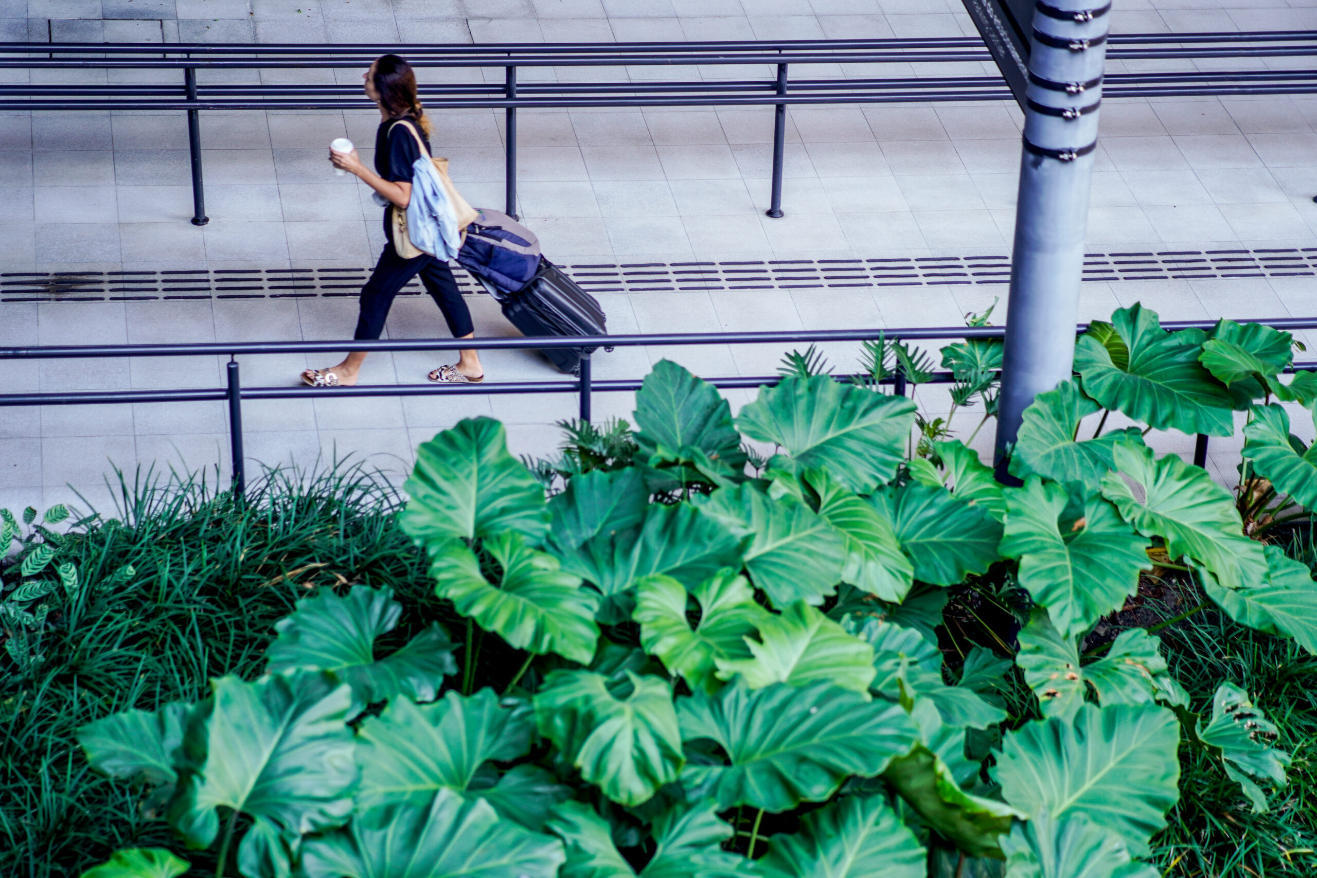 Pelo quarto ano seguido, Aeroporto de Florianópolis segue sendo o melhor do país